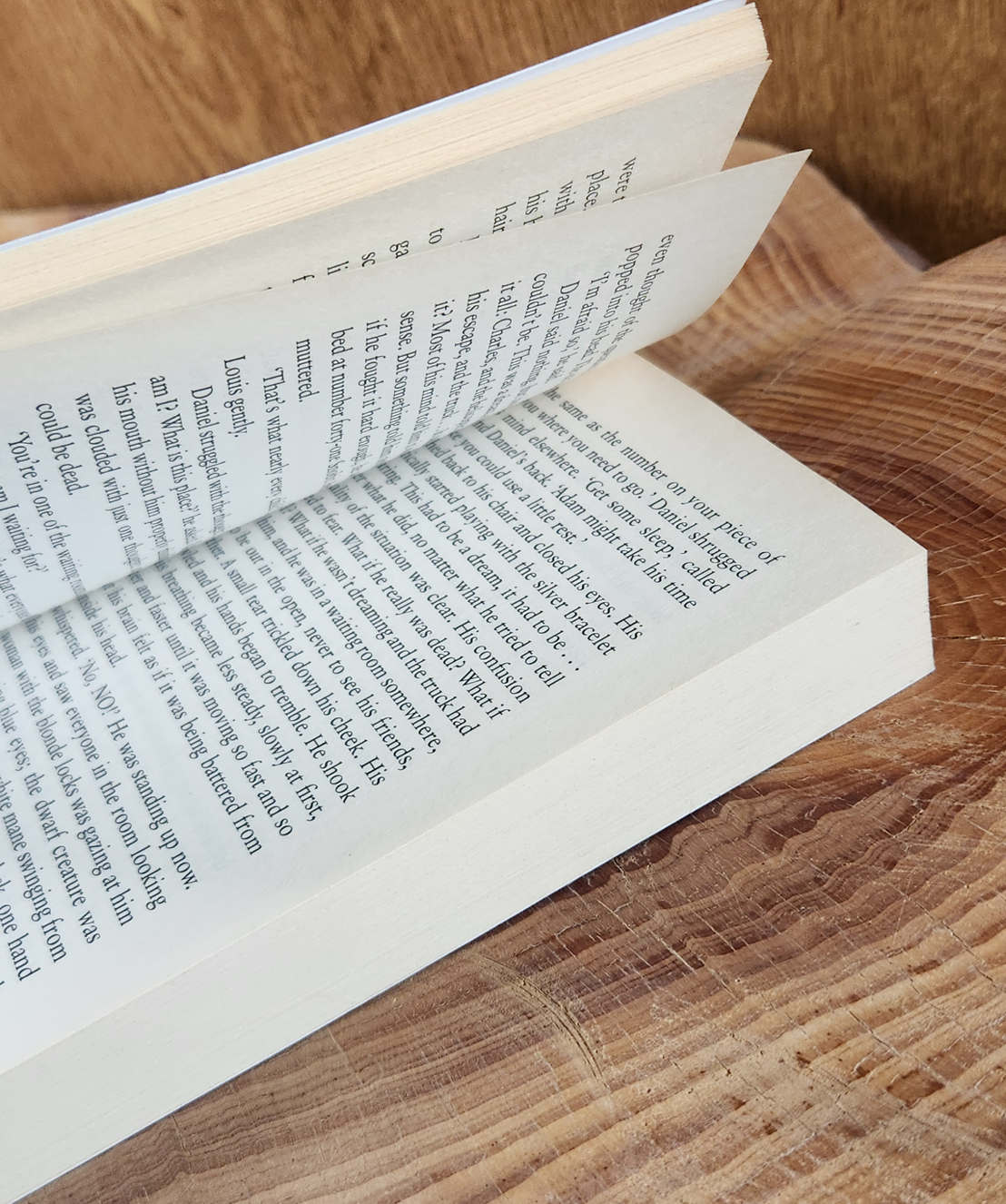 Daniel Fox and the Jester's Legacy - Andy Petersen