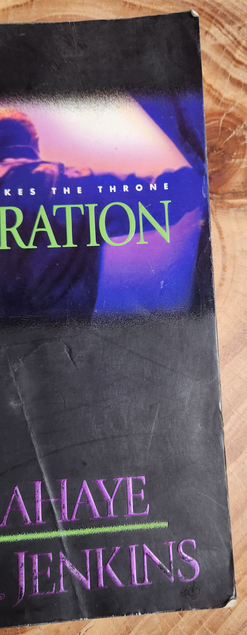 Desecration - Tim Lahaye & Jerry B. Jenkins