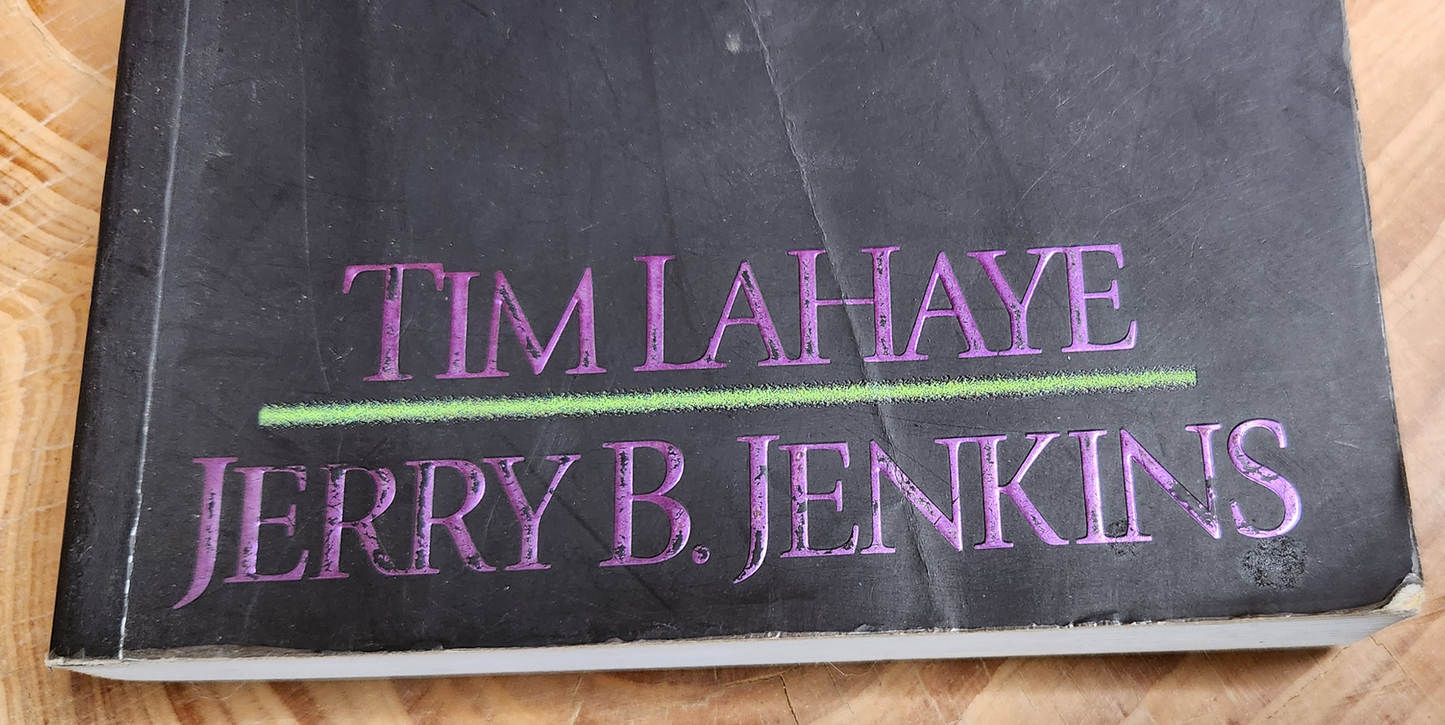 Desecration - Tim Lahaye & Jerry B. Jenkins