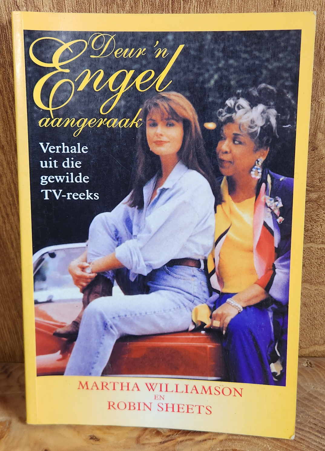 Deur 'n Engel aangeraak - Martha Williamson en Robin Sheets