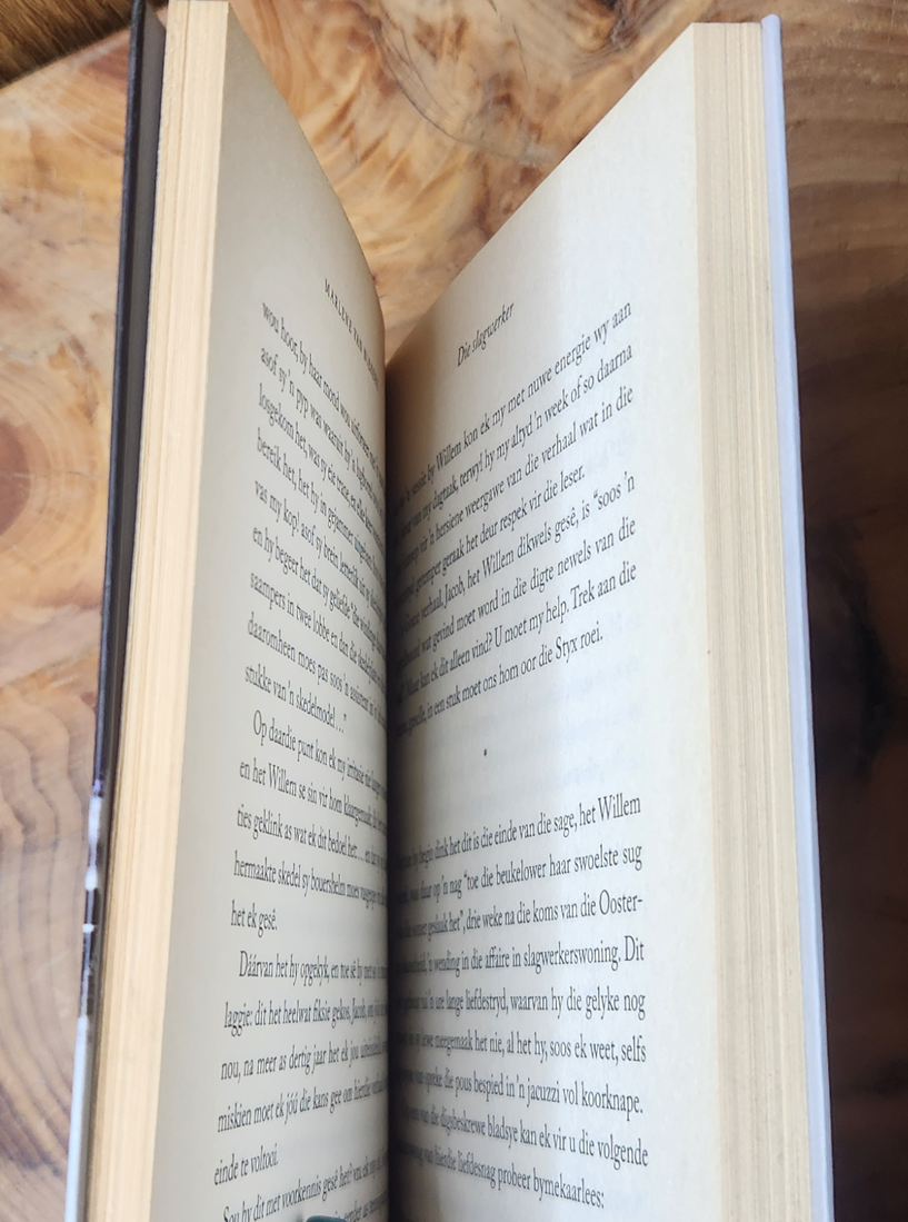 Die sneeuslaper - Marlene van Niekerk