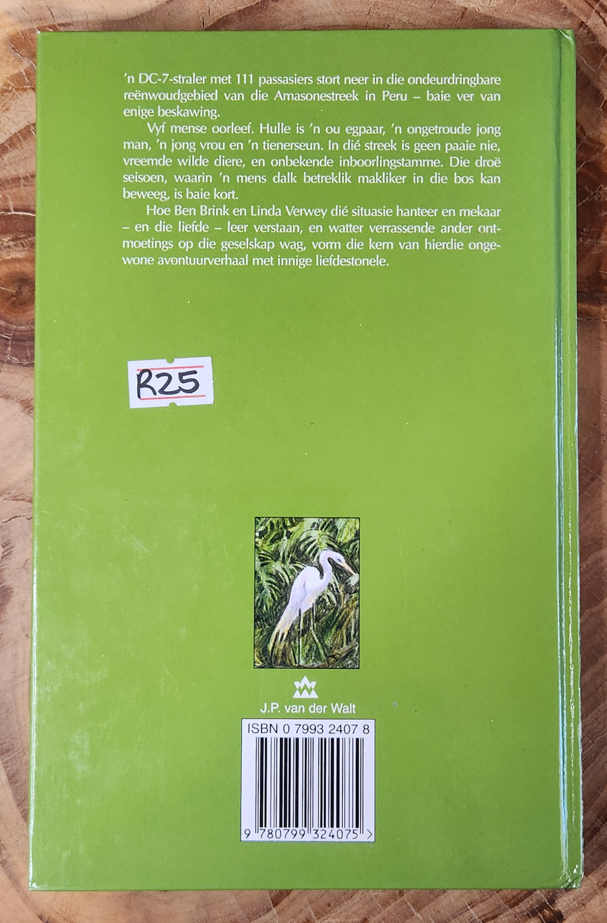 Die sonkinders - Louis  L.Brink