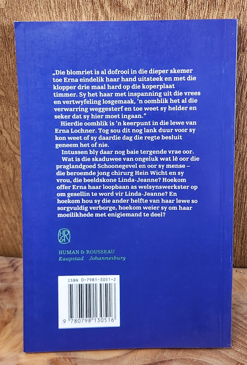 Die vrou van Schoonegevel - Rene Stegmann