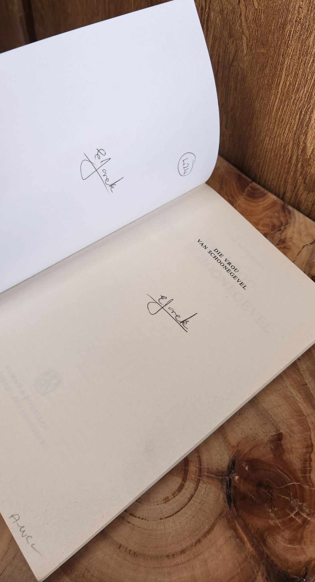 Die vrou van Schoonegevel - Rene Stegmann