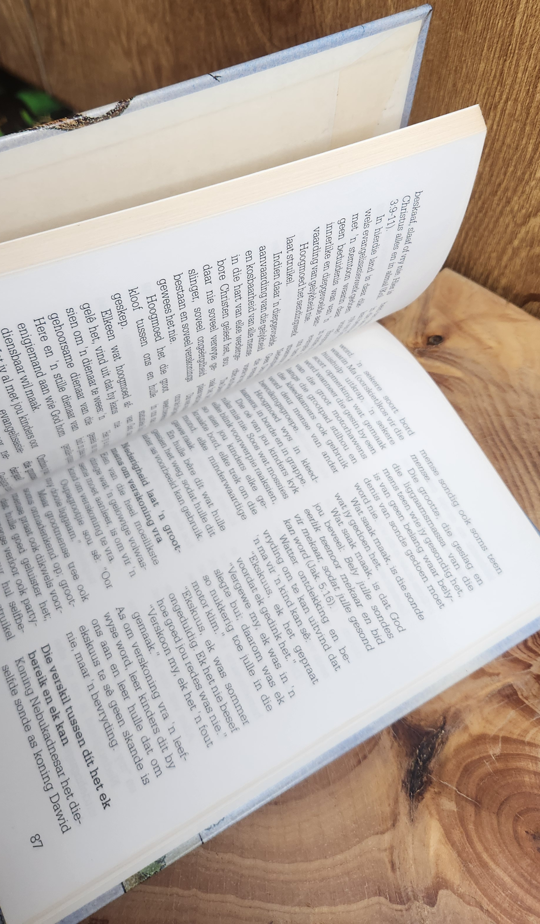 Die nes wat ons bou - Maretha Maartens