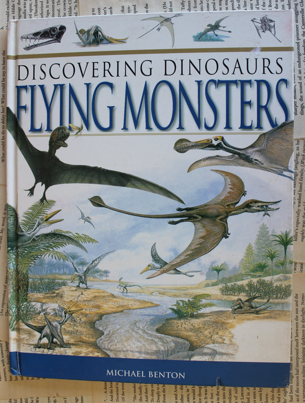 Discovering Dinosaurs, Flying Monsters - Michael Benton