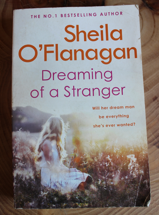 Dreaming of a Stranger - Sheila O'Flanagan