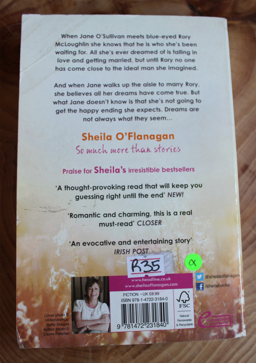 Dreaming of a Stranger - Sheila O'Flanagan