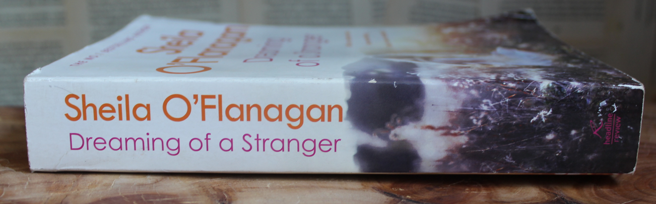 Dreaming of a Stranger - Sheila O'Flanagan