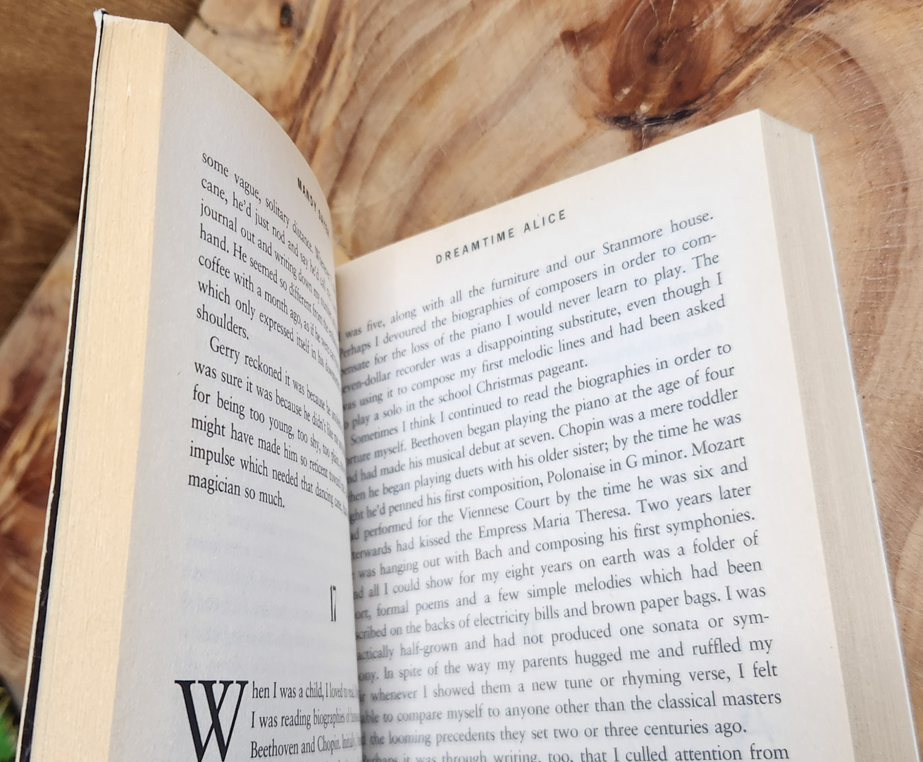 Dreamtime Alice - Mandy Sayer