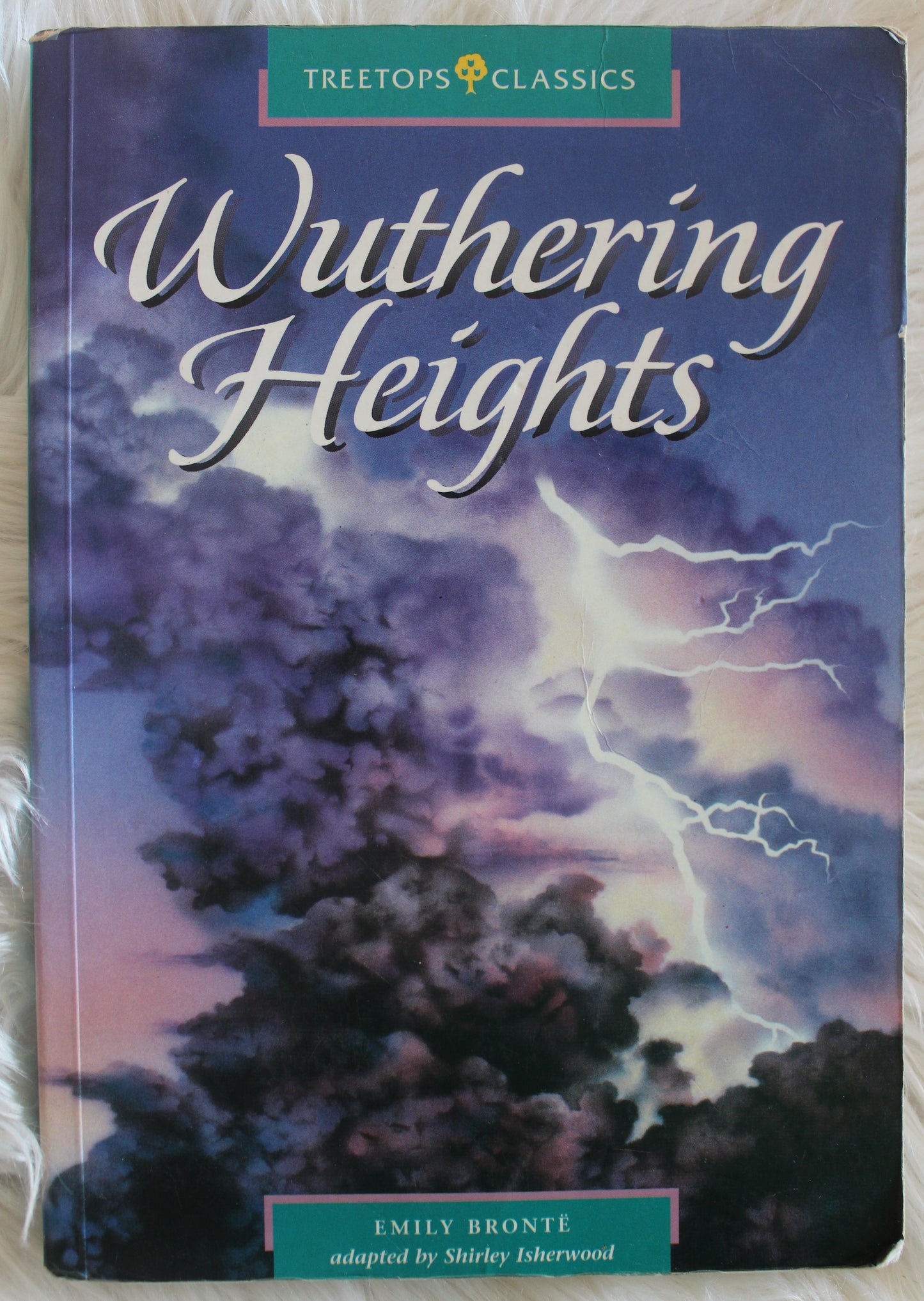 Wuthering Heights - Emily Bronte