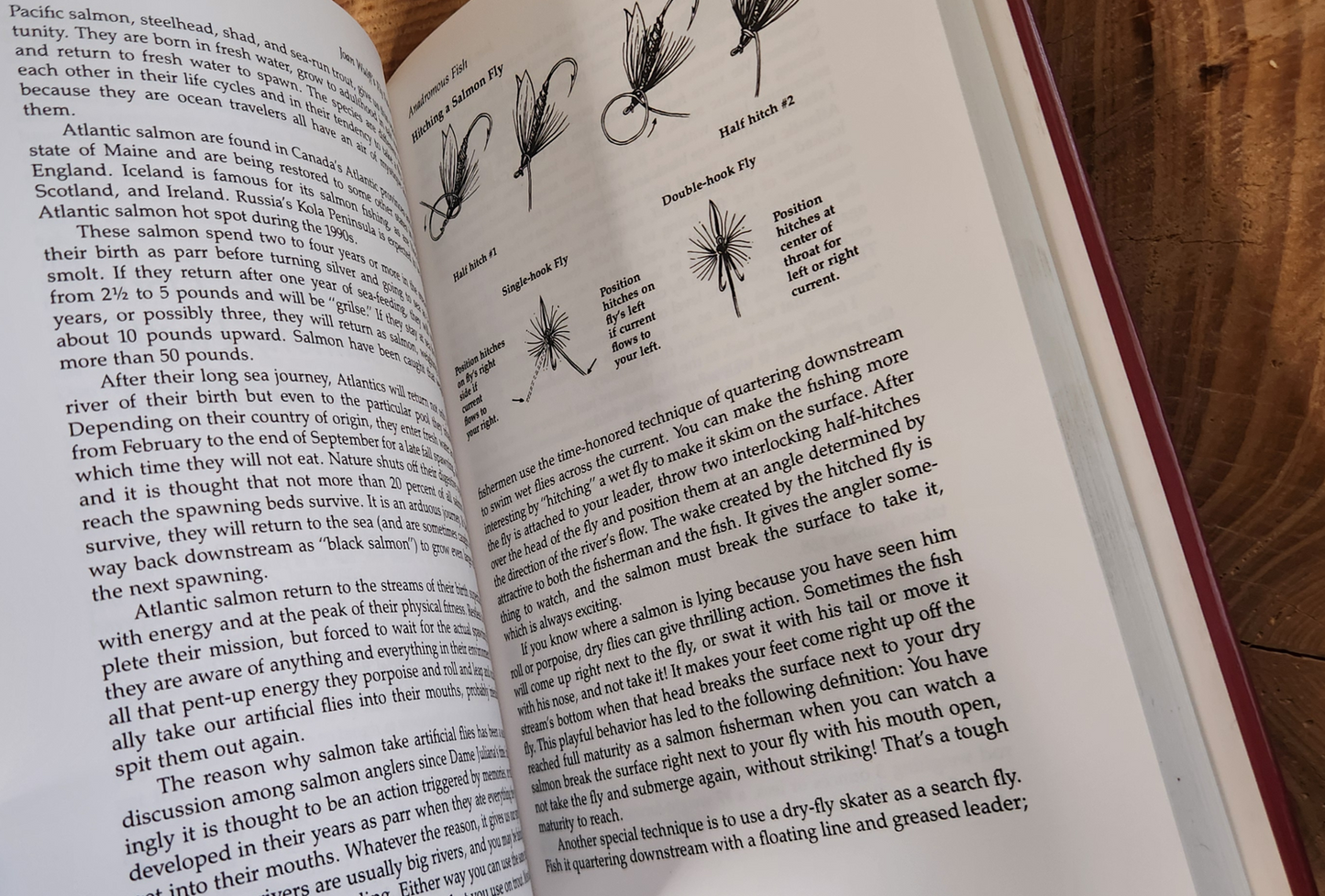 Fly Fishing - Joan Salvato Wulff