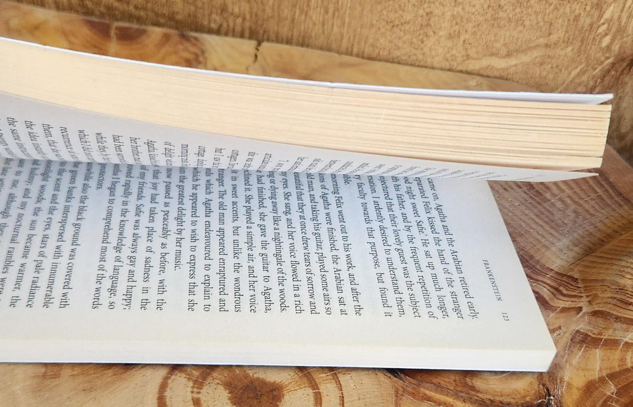 Frankenstein - Mary Shelley