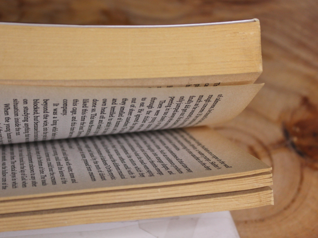 Frost Dancers - Garry Kilworth