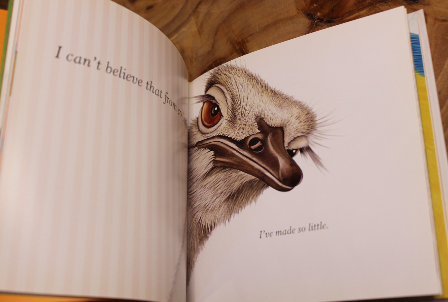 Furry Logic Don't Worry! - Jane Seabrook & Ashleigh Brilliant