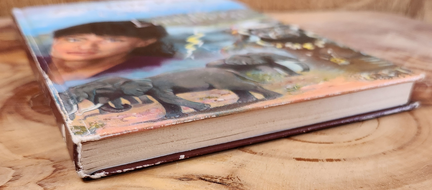 Geheimenis van die Langberg - Ann Hite Kemp