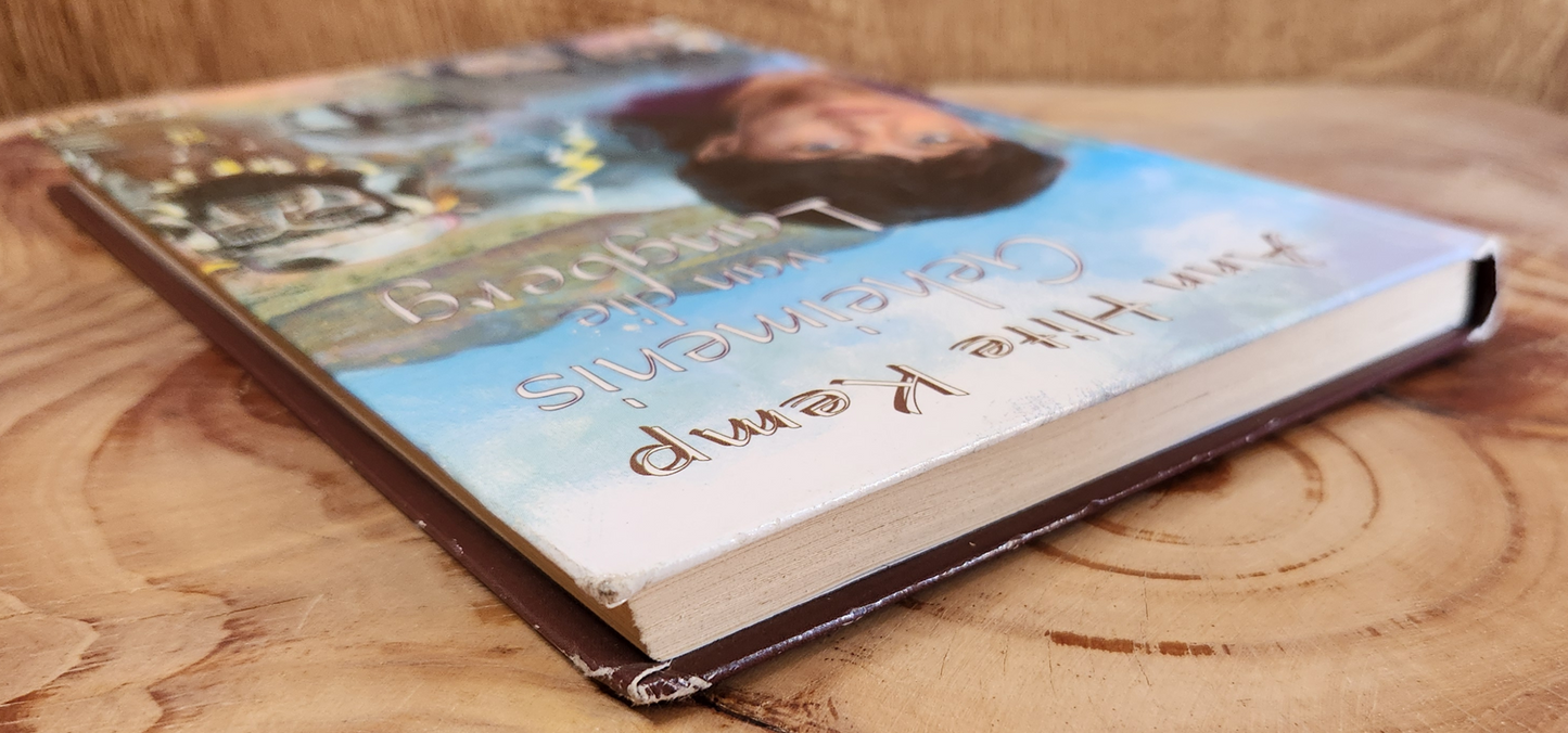 Geheimenis van die Langberg - Ann Hite Kemp