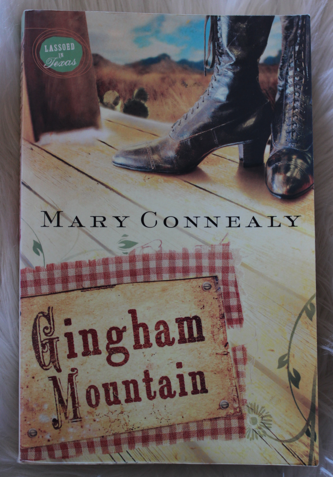 Gingham Mountain - Mary Connealy