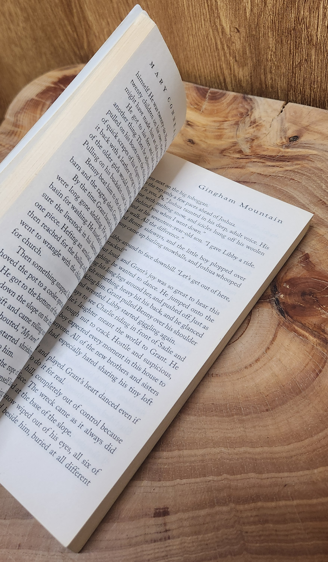 Gingham Mountain - Mary Connealy