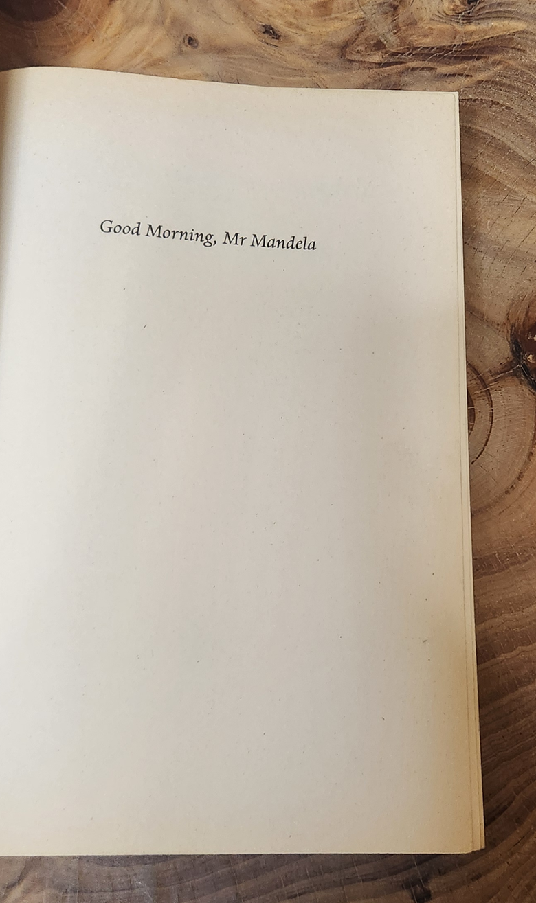 Good Morning, Mr Mandela - Zelda la Grange