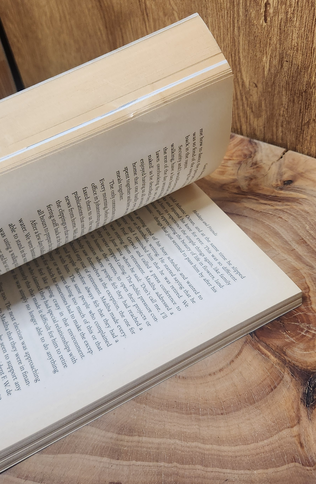 Good Morning, Mr Mandela - Zelda la Grange