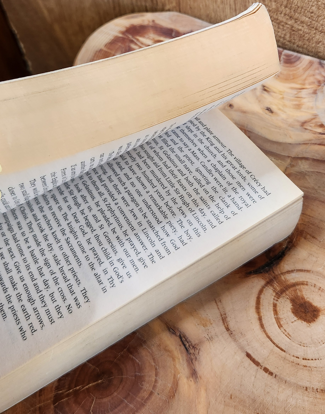 Harlequin, Vagabond - Bernard Cornwell