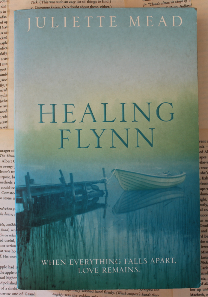 Healing Flynn - Juliette Mead