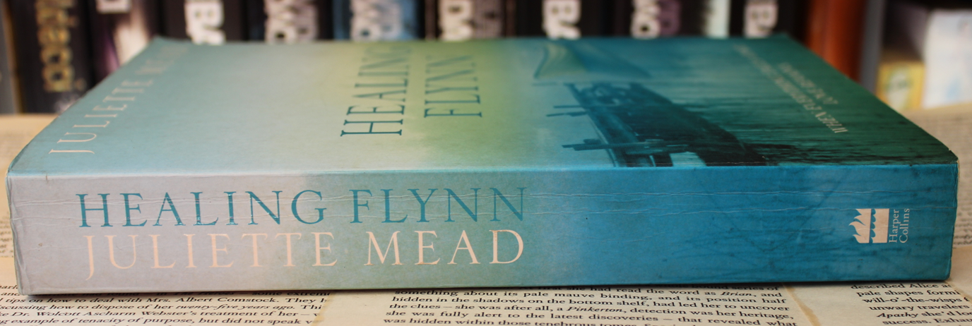 Healing Flynn - Juliette Mead