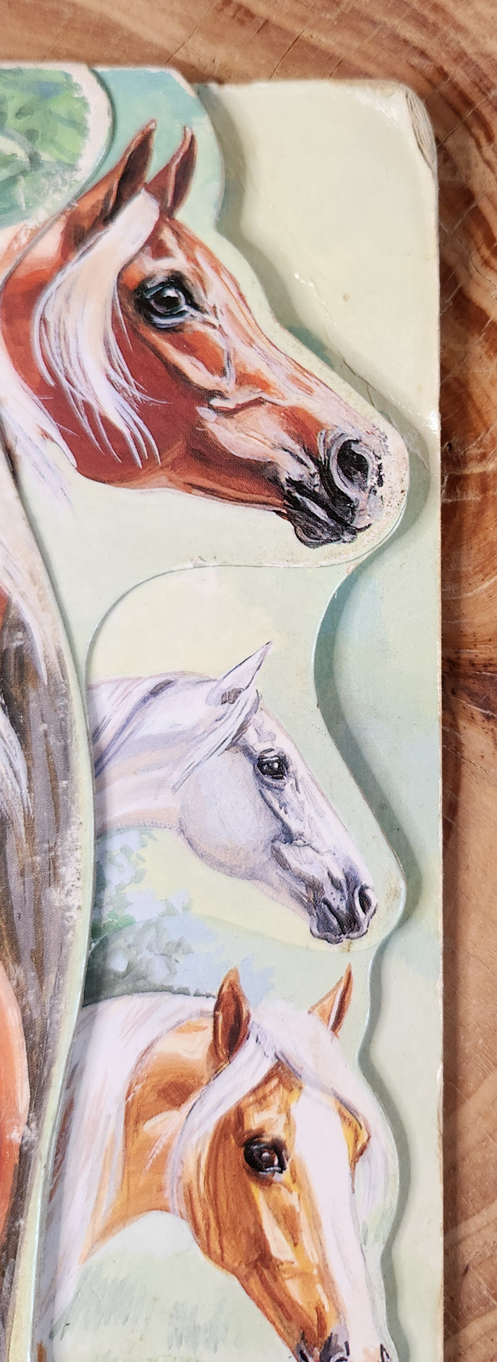 Horses & Ponies at you fingertips - Marc Gave