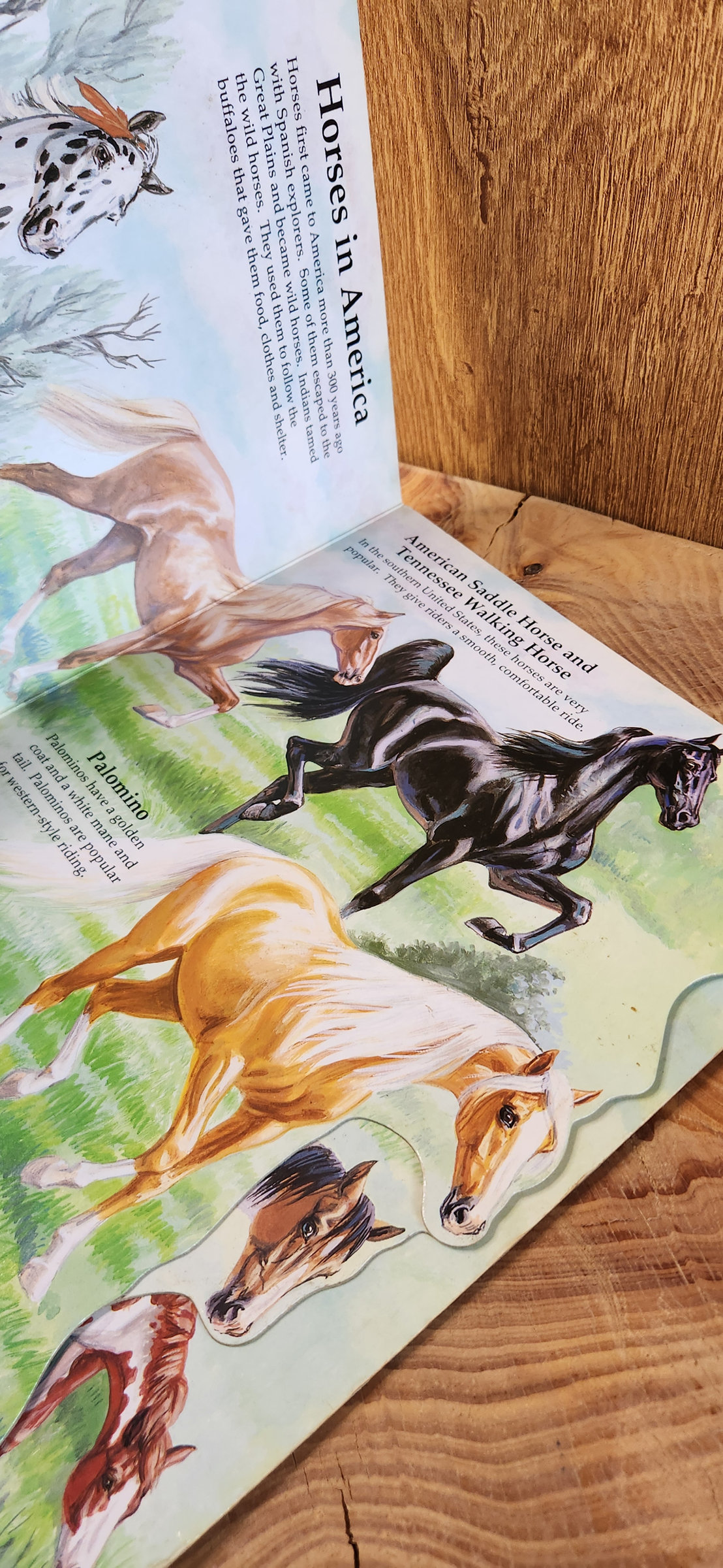 Horses & Ponies at you fingertips - Marc Gave