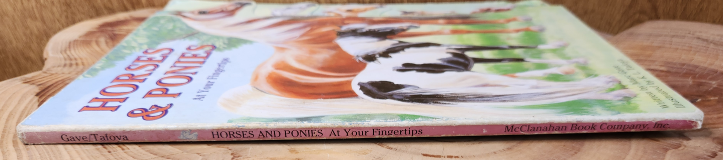 Horses & Ponies at you fingertips - Marc Gave