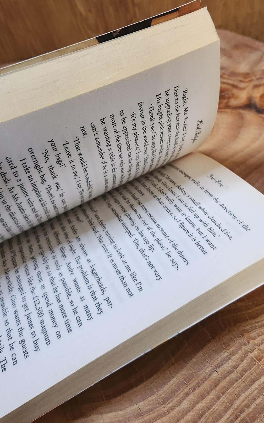 Hotel Babylon - Imogen Edwards-Jones