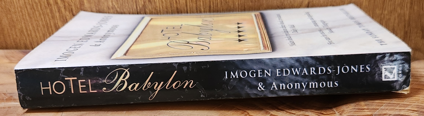 Hotel Babylon - Imogen Edwards-Jones