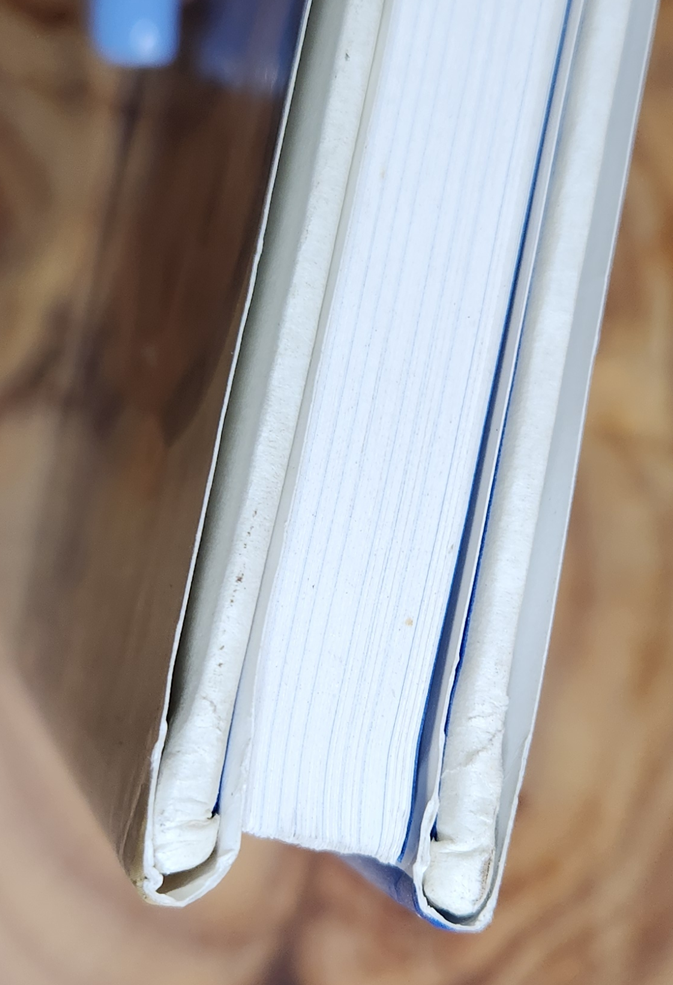 How Lance Does It - Brad Kearns