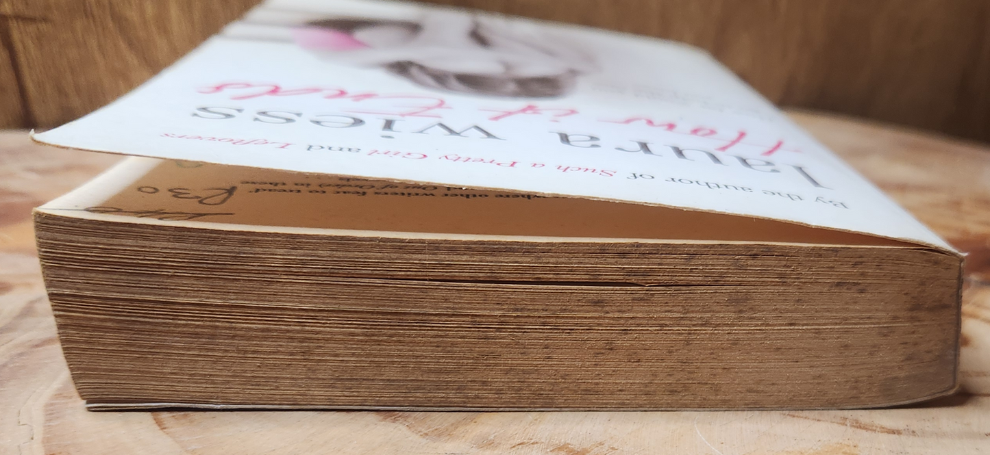 How it Ends - Laura Wiess