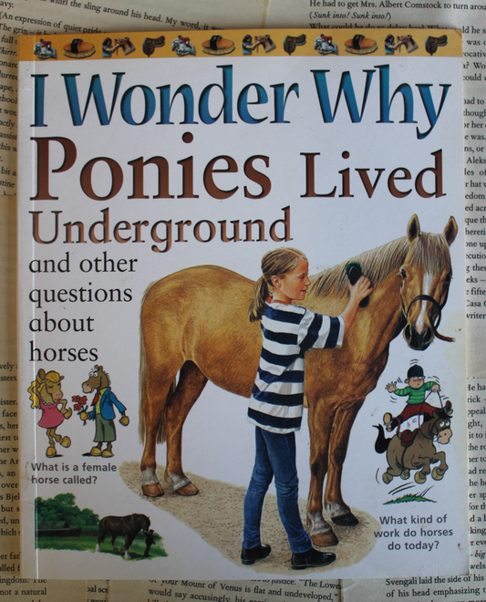 I wonder why Ponies lived underground