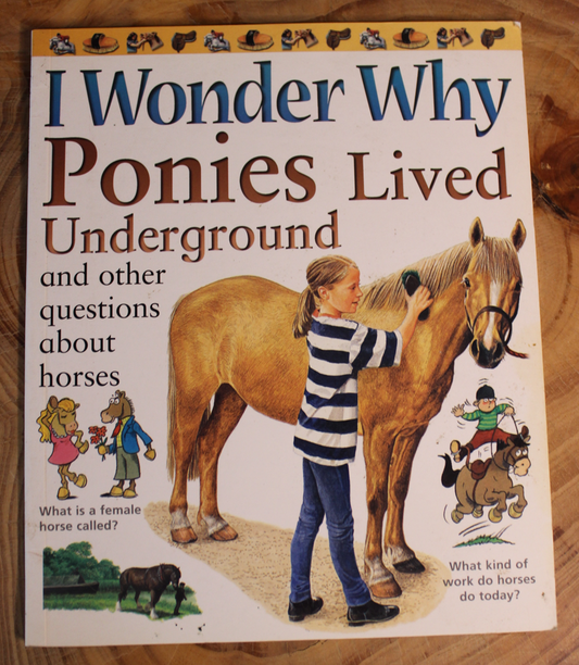 I wonder why Ponies lived underground
