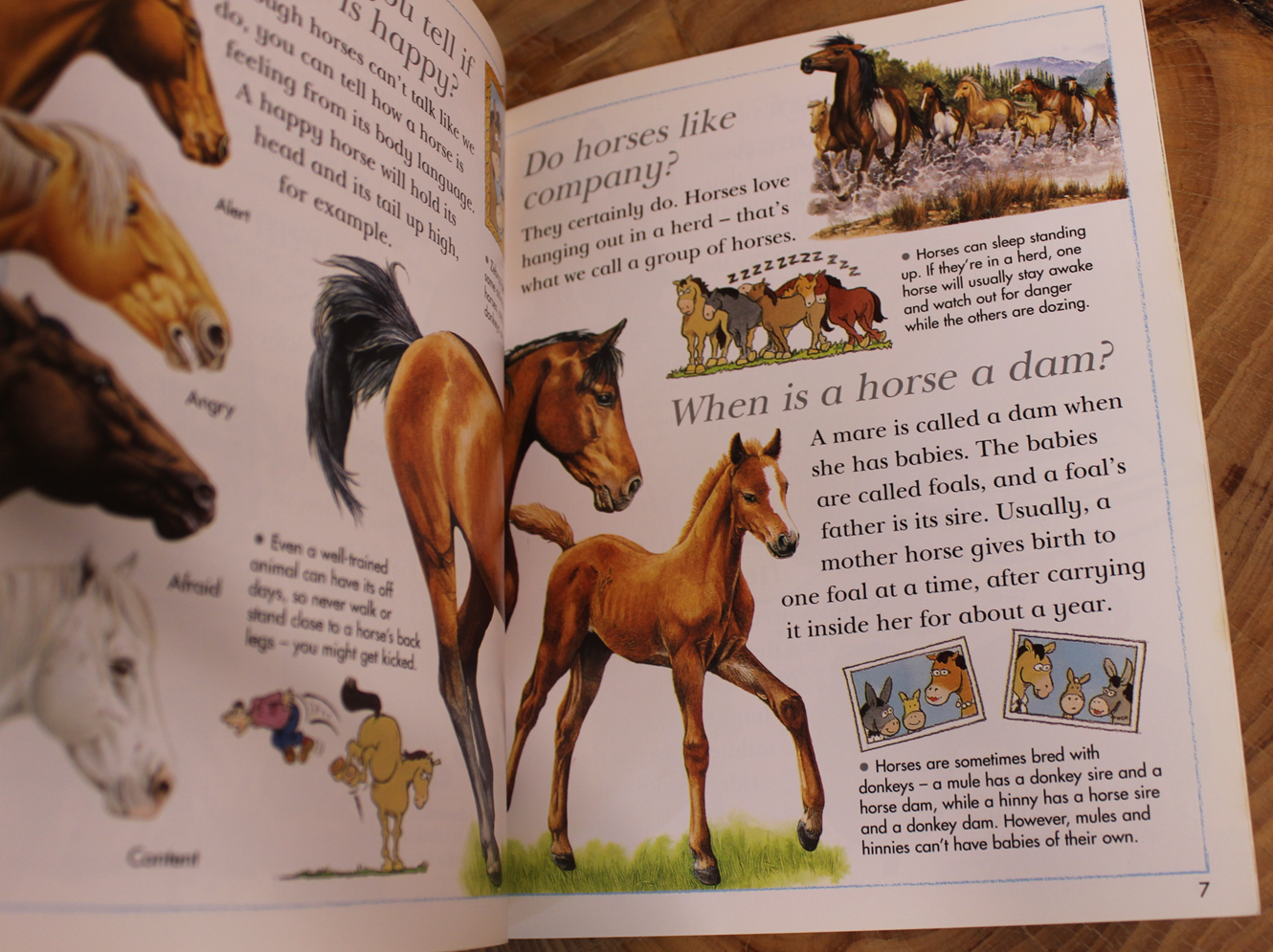 I wonder why Ponies lived underground