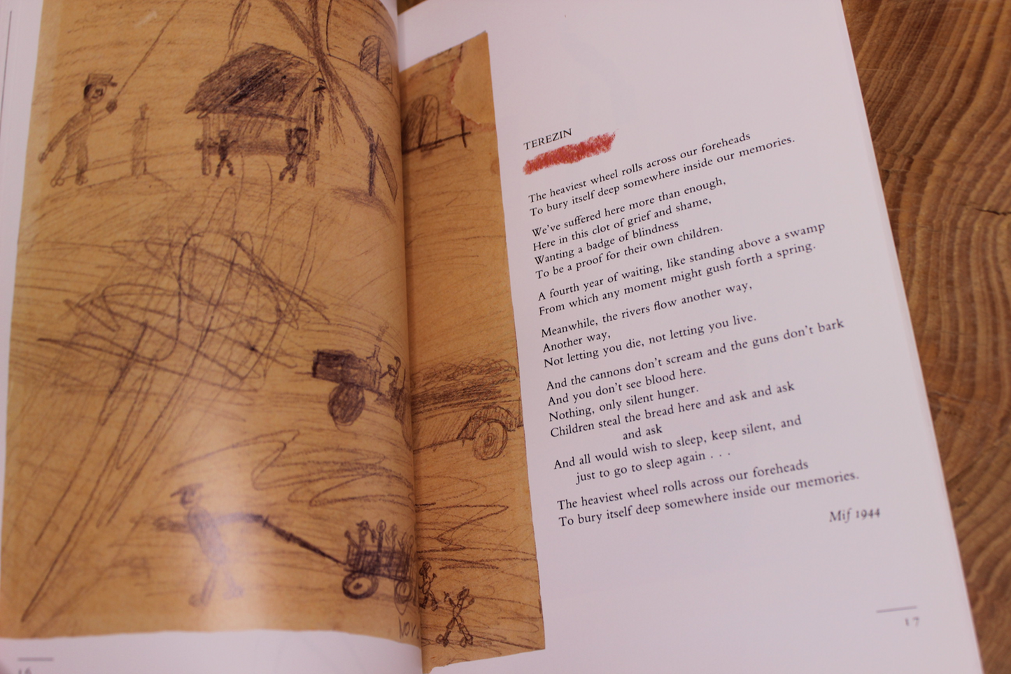 I Never Saw Another Butterfly: