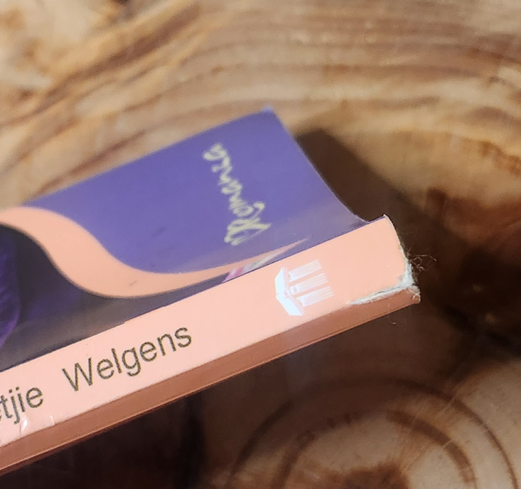 In jou droom - Marietjie Welgens