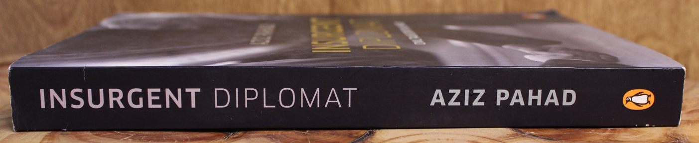 Insurgent Diplomat - Aziz Pahad