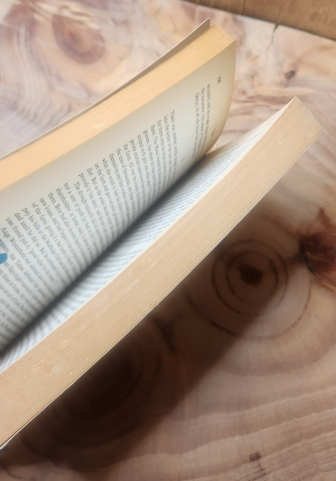 Isak Dinesen - Judith Thurman