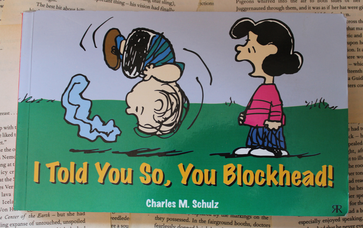 I told you so, you blockhead - Charles M. Schulz