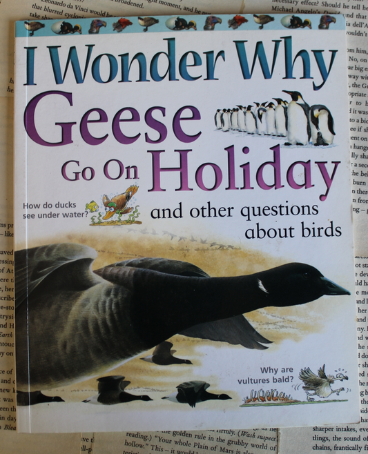 I wonder why geese go on holiday