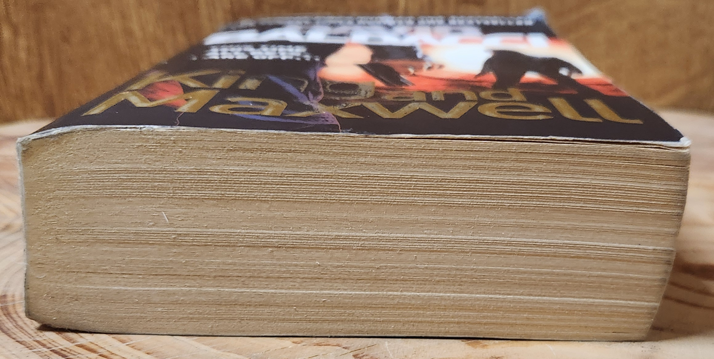 King and Maxwell - David Baldacci