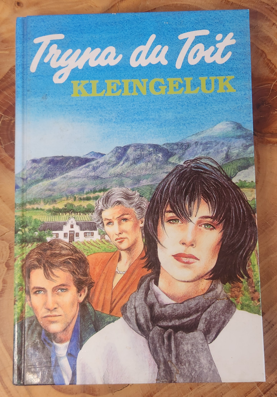 Kleingeluk - Tryna du toit