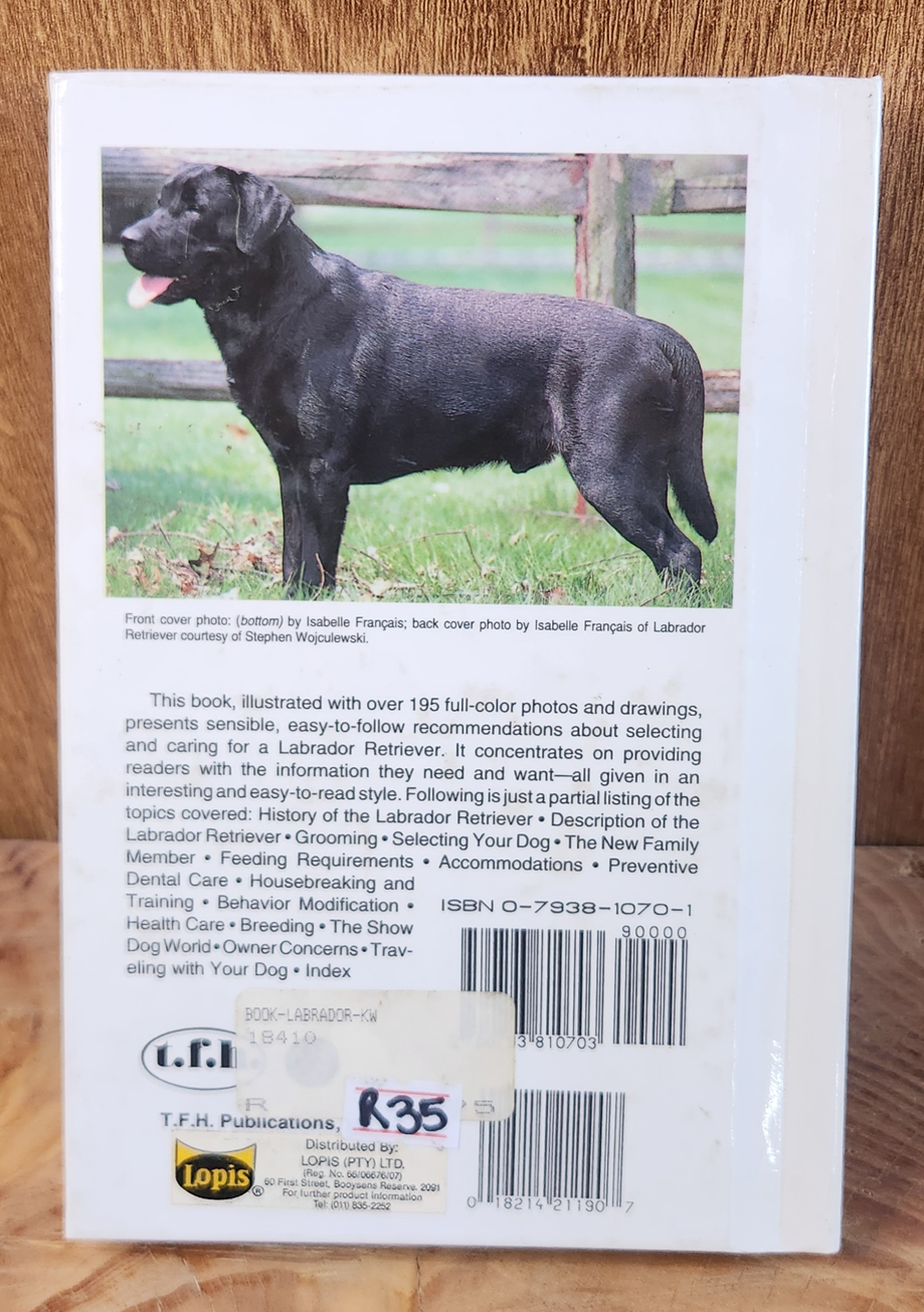 Labrador Retrievers - Diane McCarty