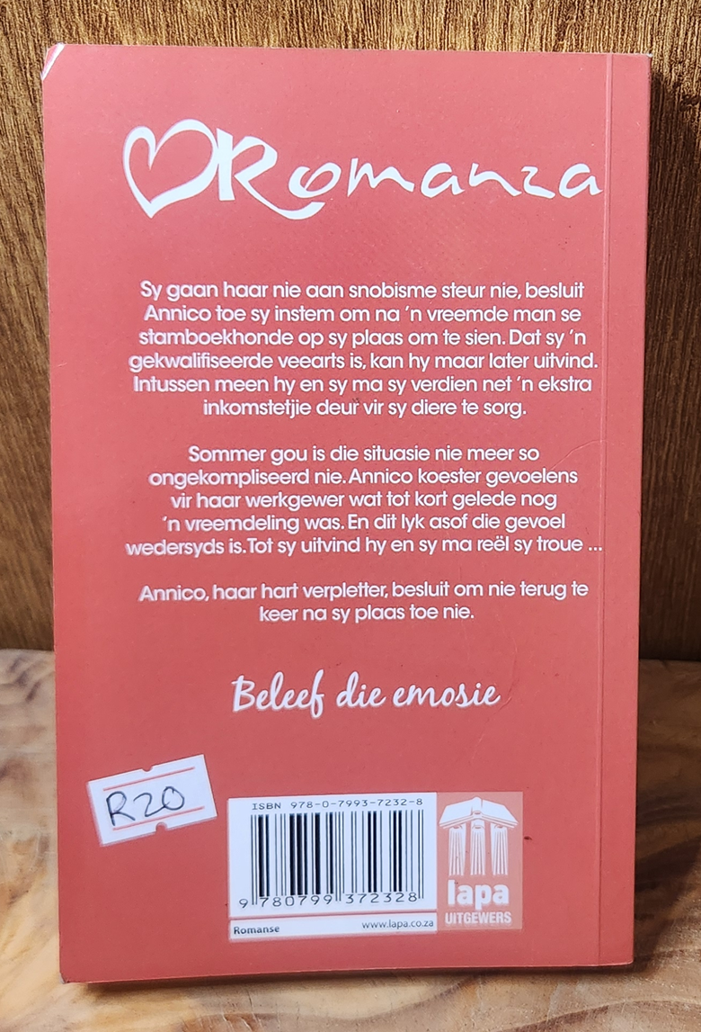 Liefde Agter Sluiers - Rika du Plessis