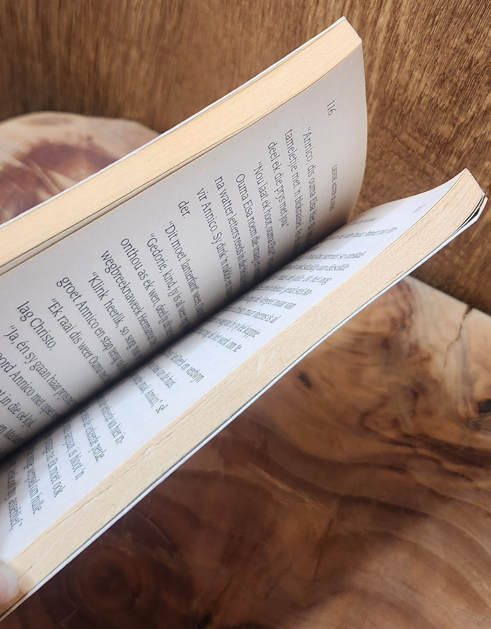 Liefde Agter Sluiers - Rika du Plessis