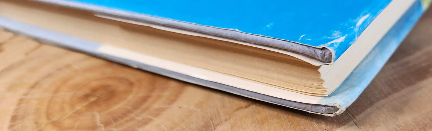 Liefde wat krom is - Kas van den Bergh